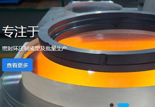 臺(tái)州瓷匠密封科技有限公司